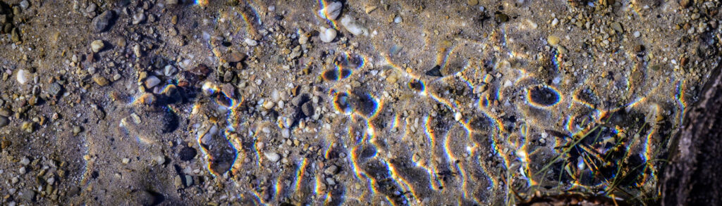 Detail of the current in a small water