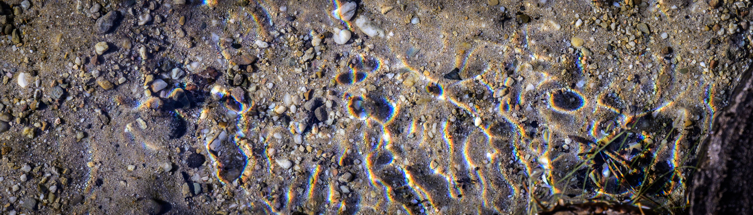 Detail of the current in a small water
