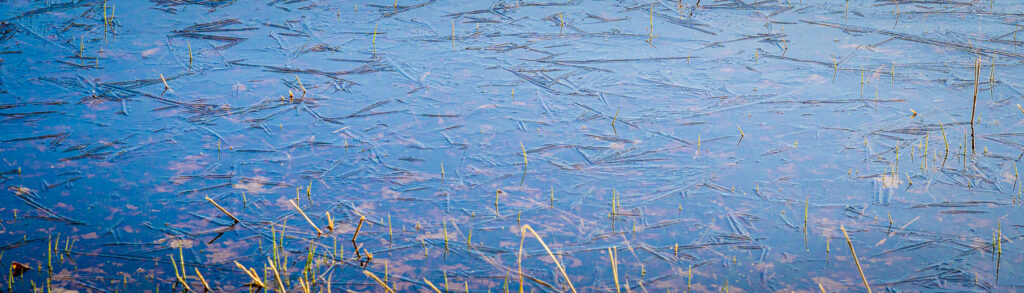 frozen water on a small pond