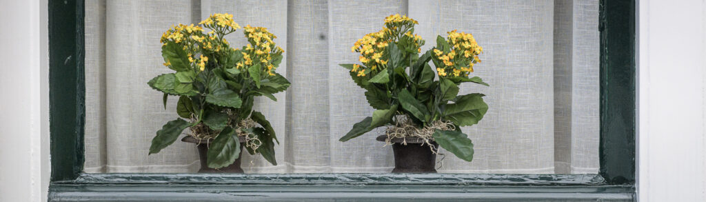 Detail in the city of Gouda