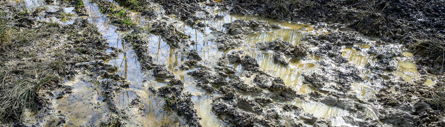 mud and water on a foot path