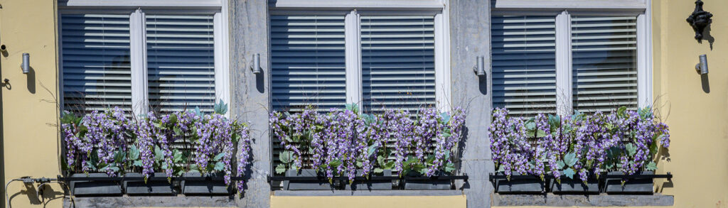 detail of a building in Brugge Belgium
